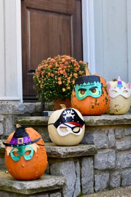 Pirate Light Up Mask