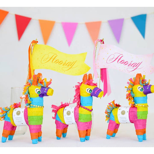 Refillable Tabletop Pinata | Donkey | Assorted Colors