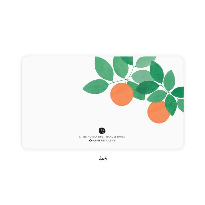 Little Notes | Orange Grove
