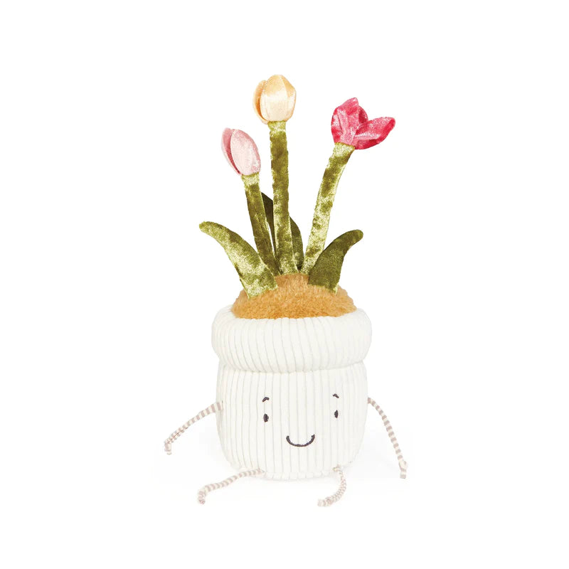 Window Silly - Tulip