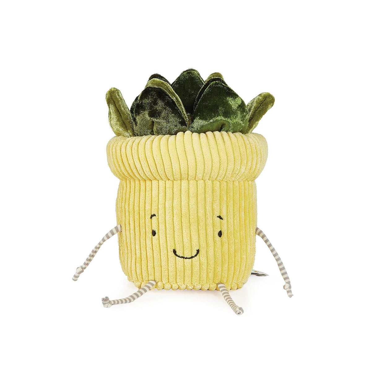 Window Silly - Succulent