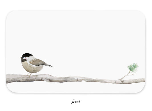 Little Notes | Chickadee