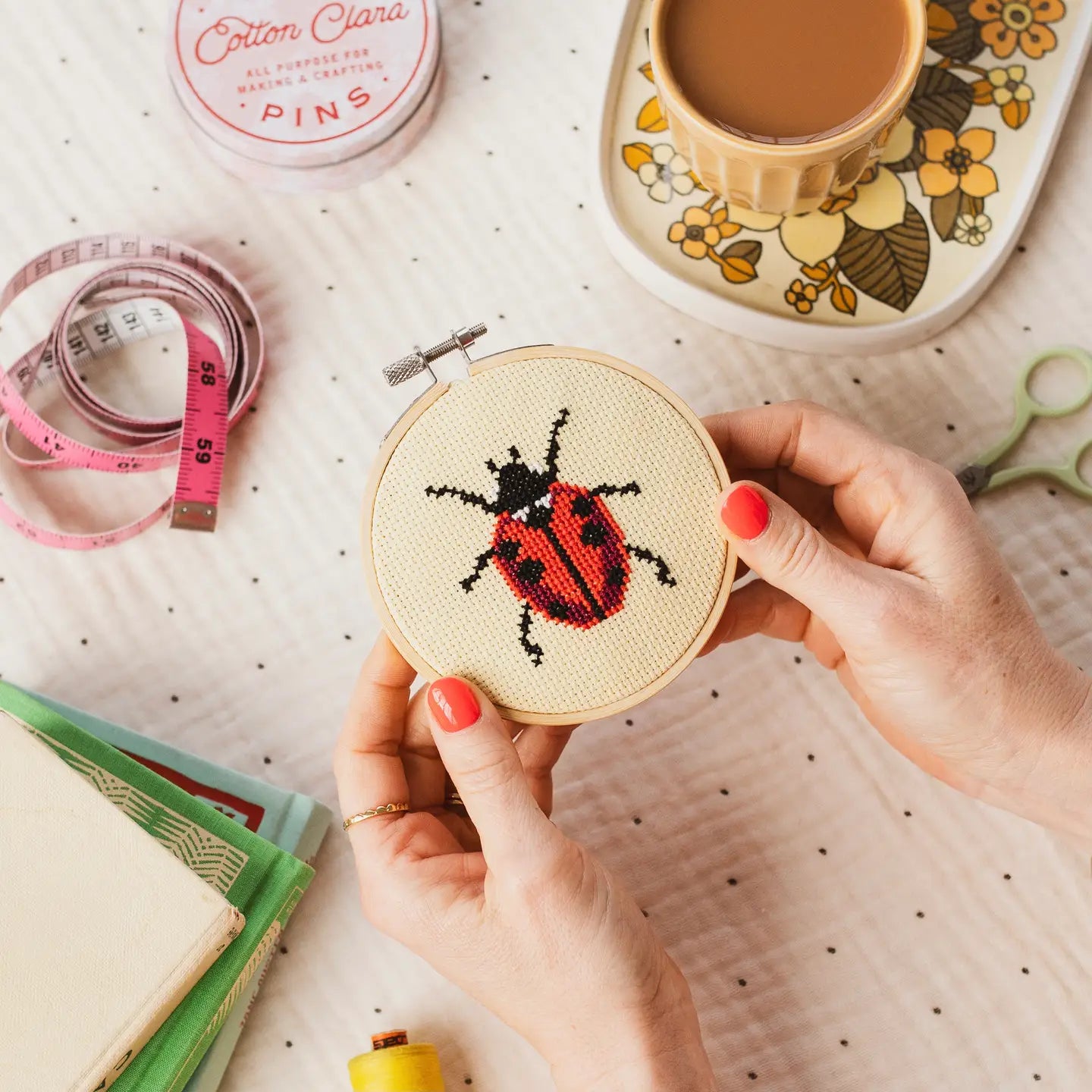 Beginner Ladybug Cross Stitch Kit