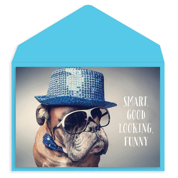 BOXER DOG