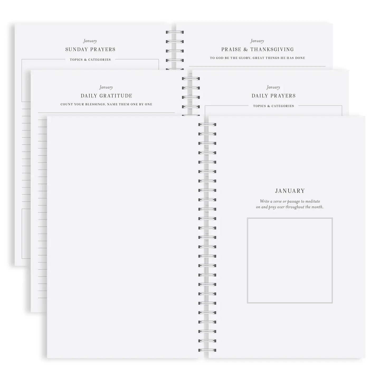 Yearly Prayer Journal | Olive Leaf