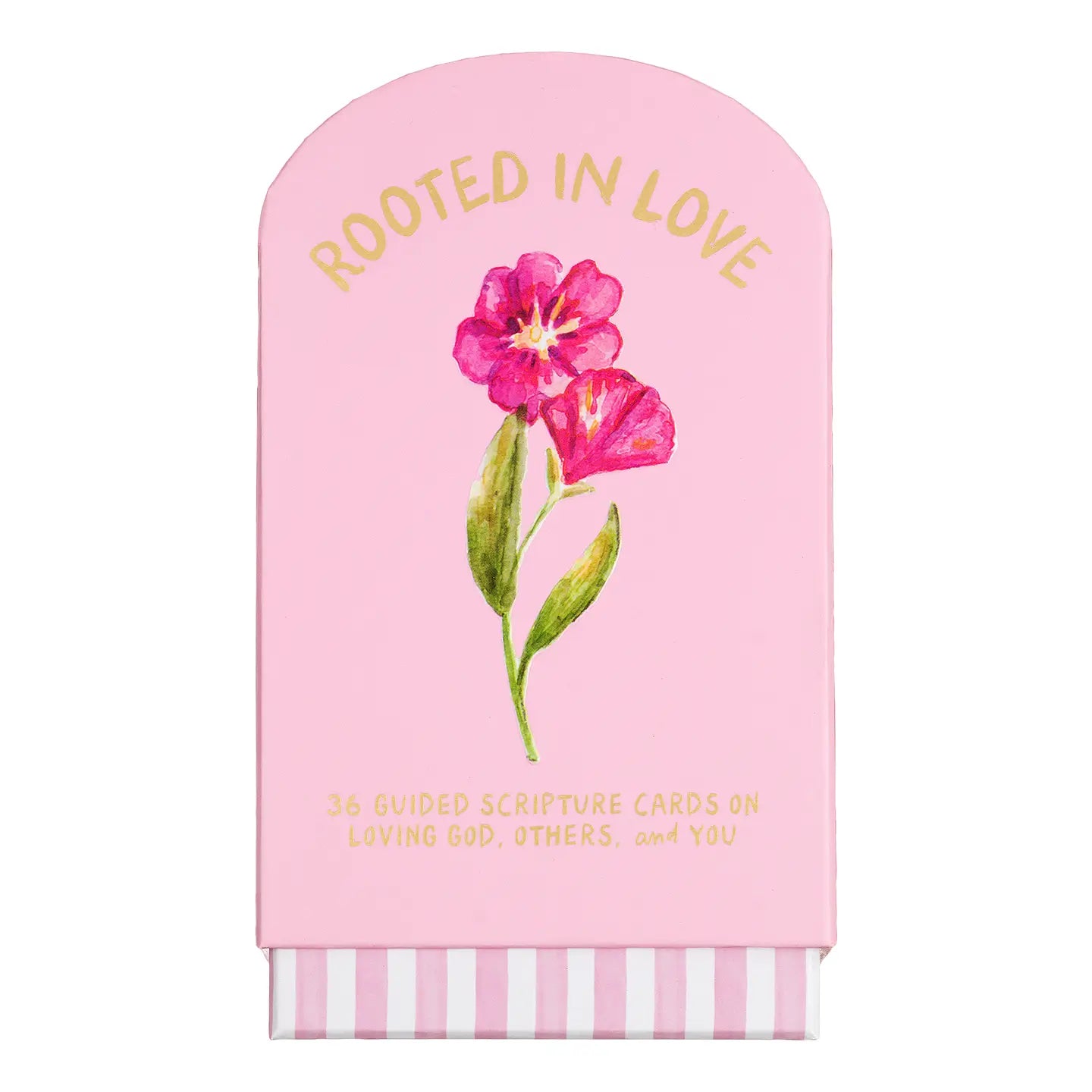 Rooted in Love Guided Cards