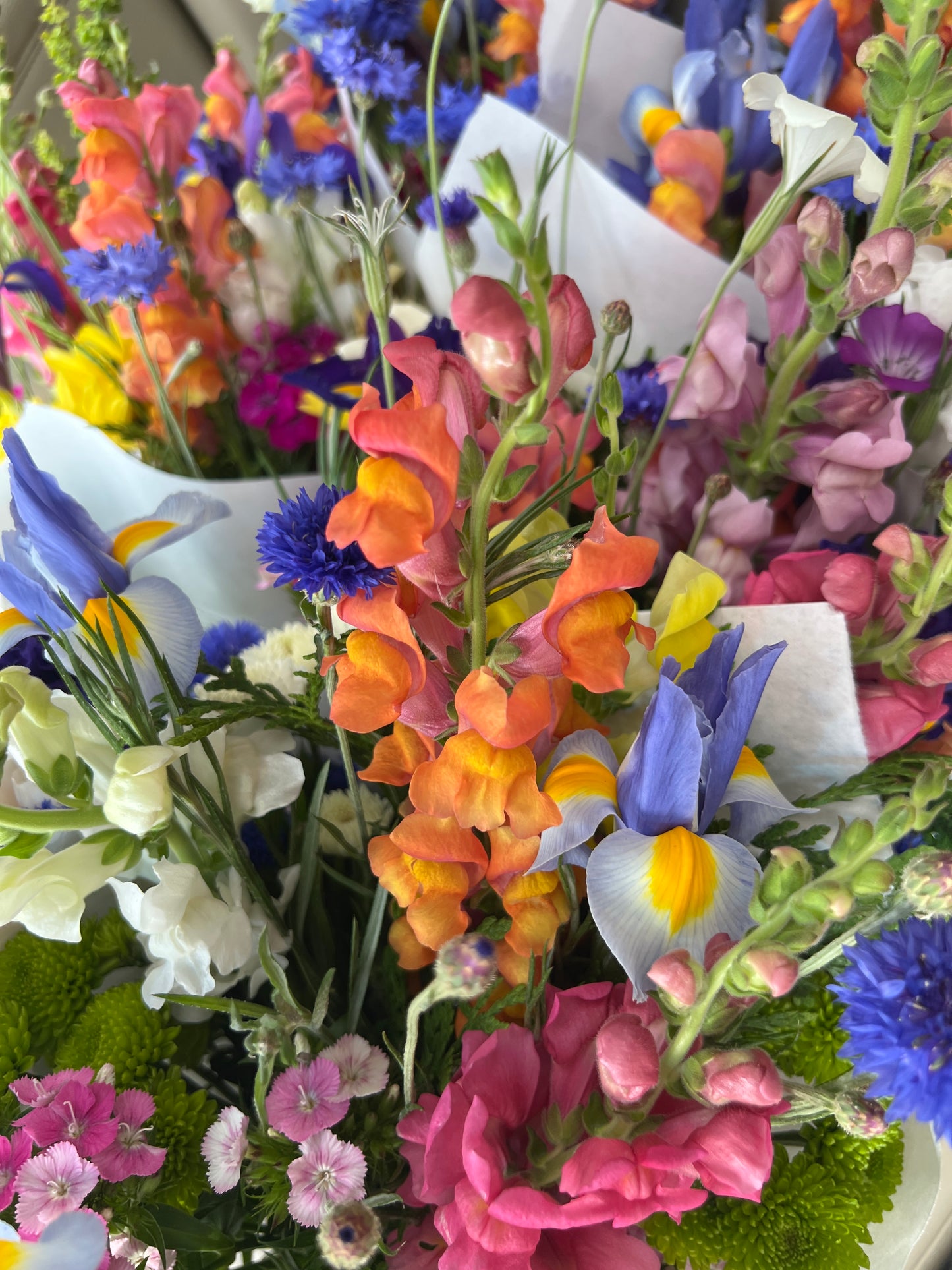 Mothers Day Flowers