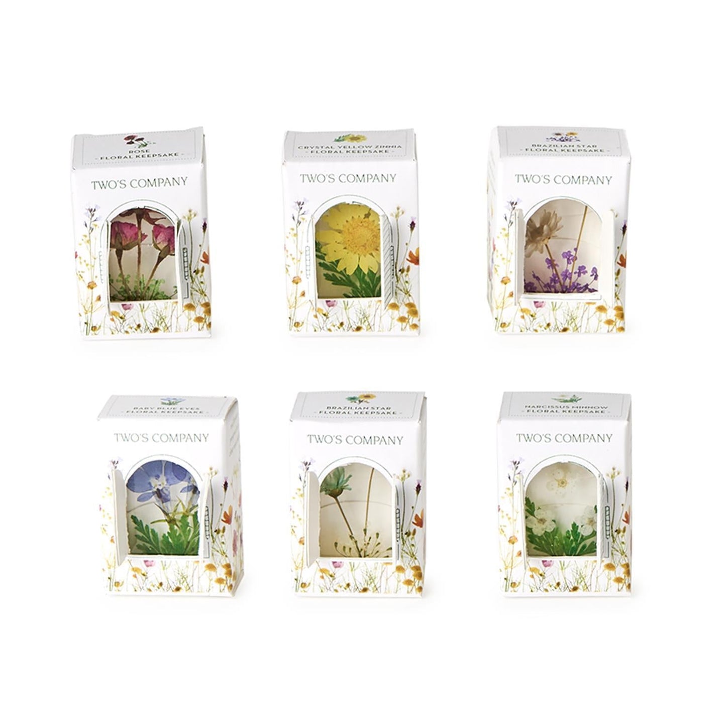Wildflower Pressed Floral Keepsake | Assorted