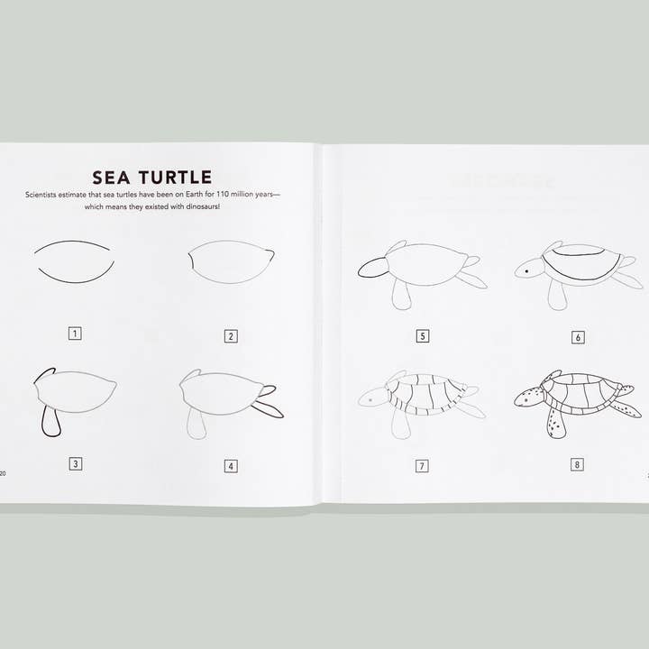 Under the Sea: How to Draw Books for Kids