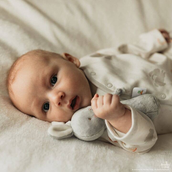 Friendly Chime Rattle | Bloom Bunny