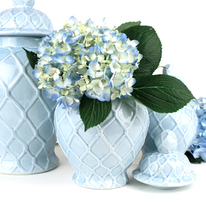 Light Blue Textured Ginger Jar | Extra Large
