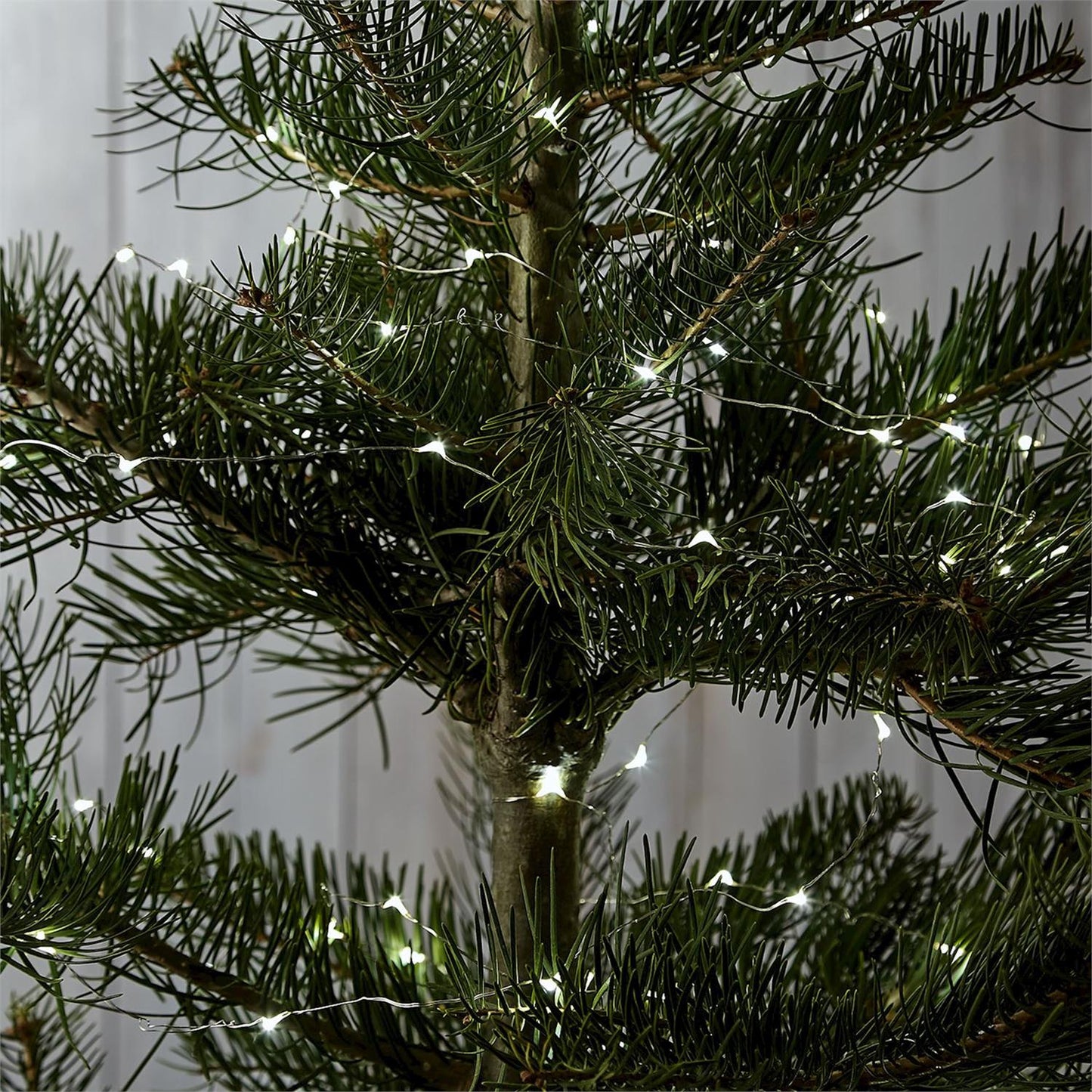 Starlight LED String Lights | Assorted Colors