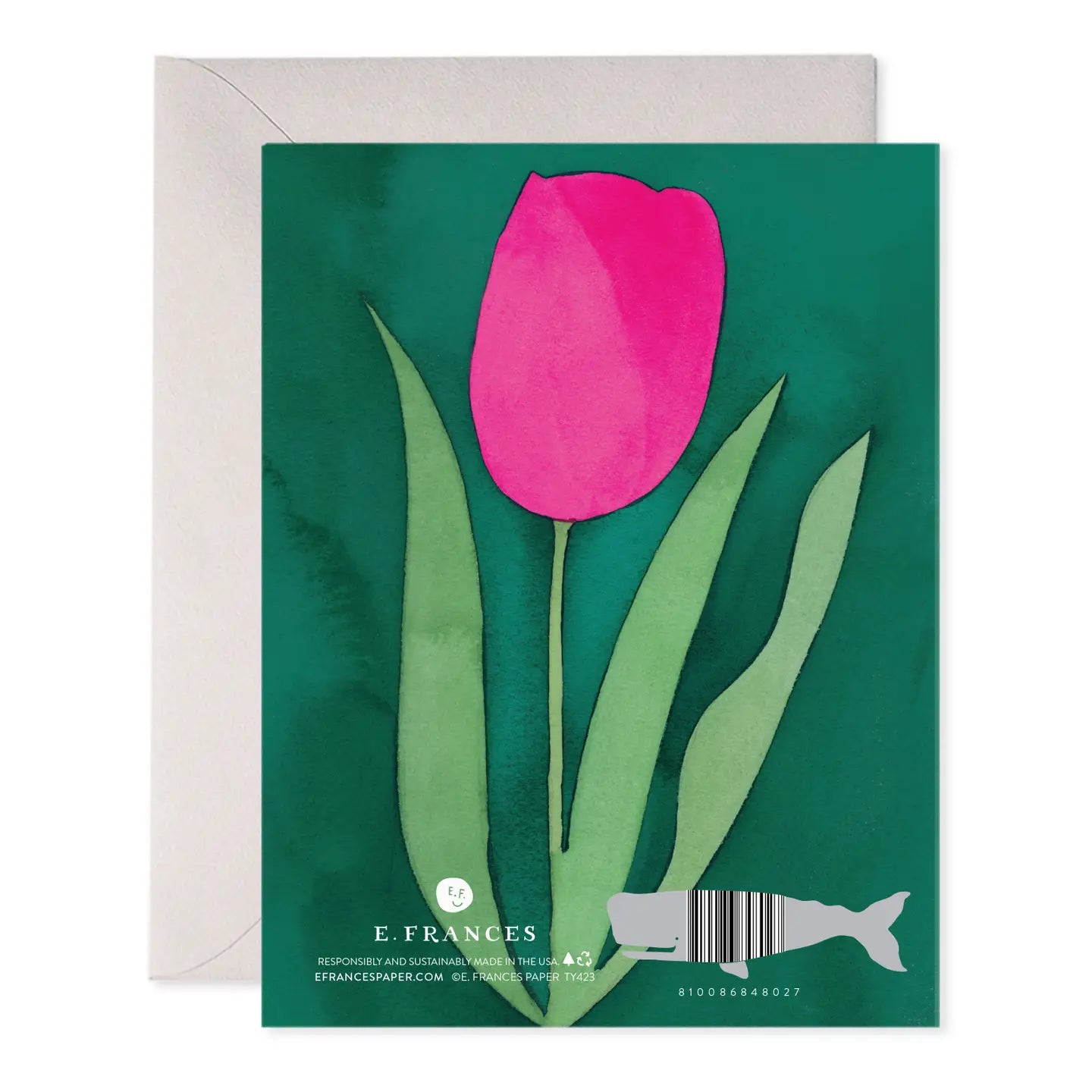 Boxed Card Set | Pink Tulip Thank You