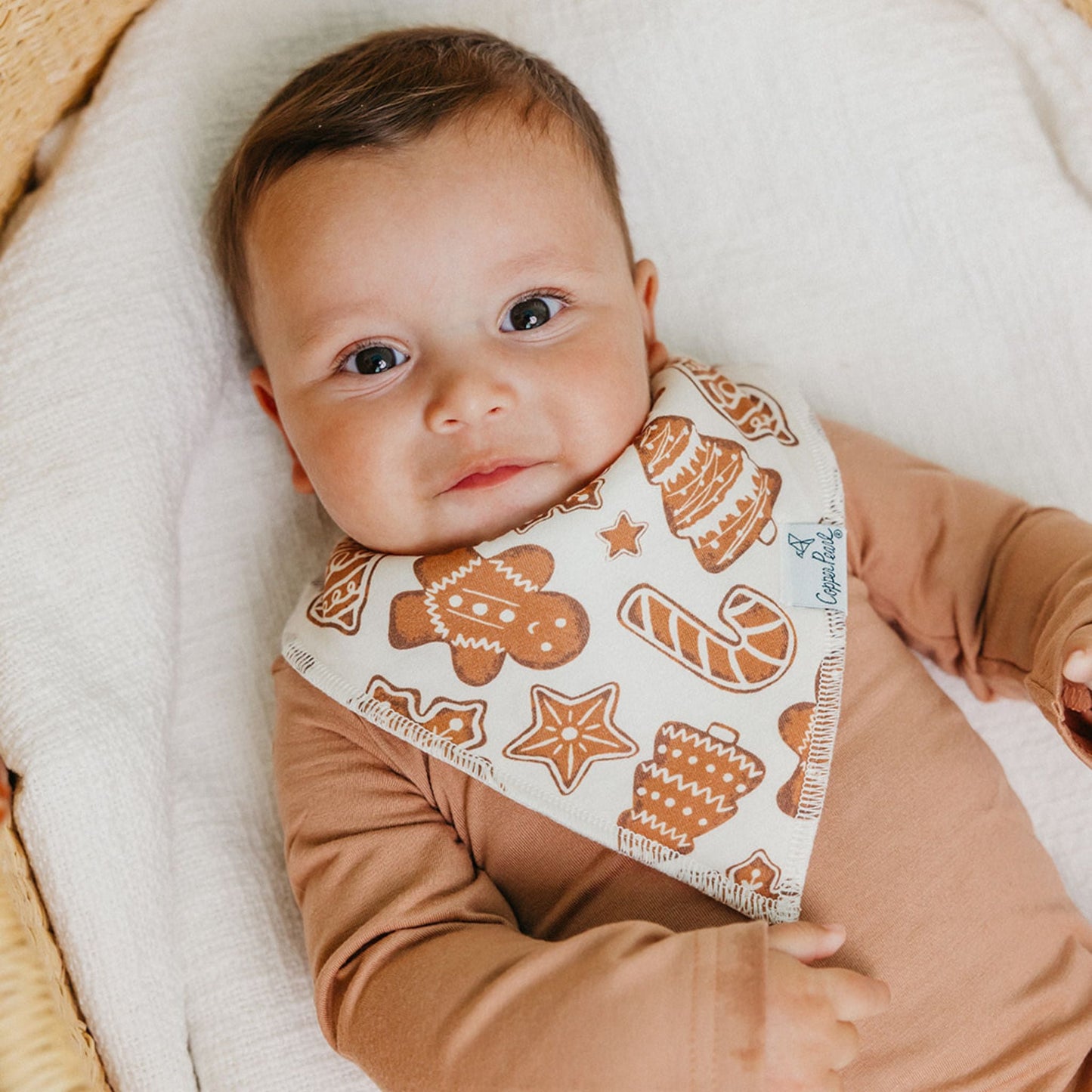 Baby Bandana Bib Set | Gingerbread