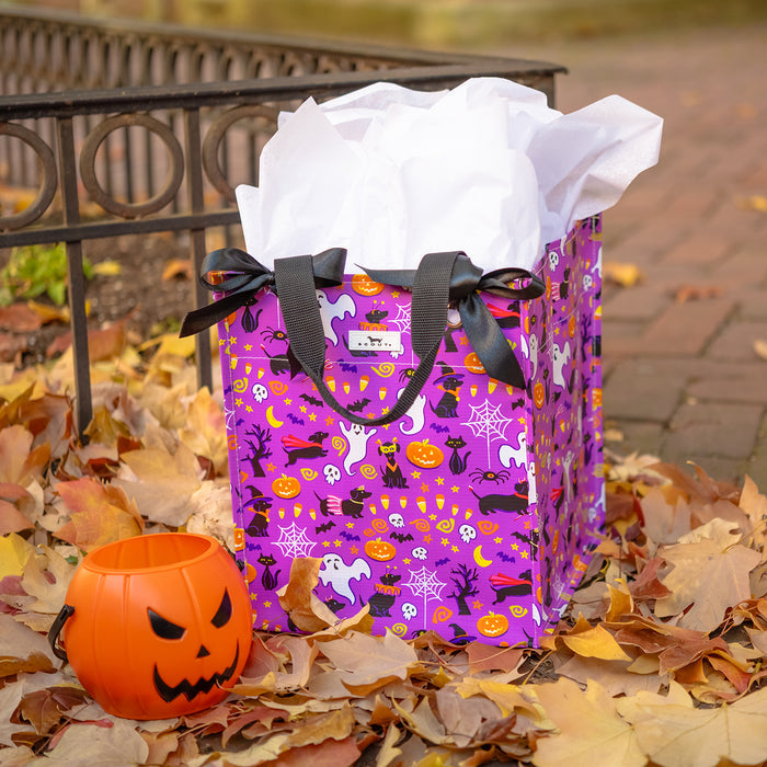 Midi Package | Howl O Weenie