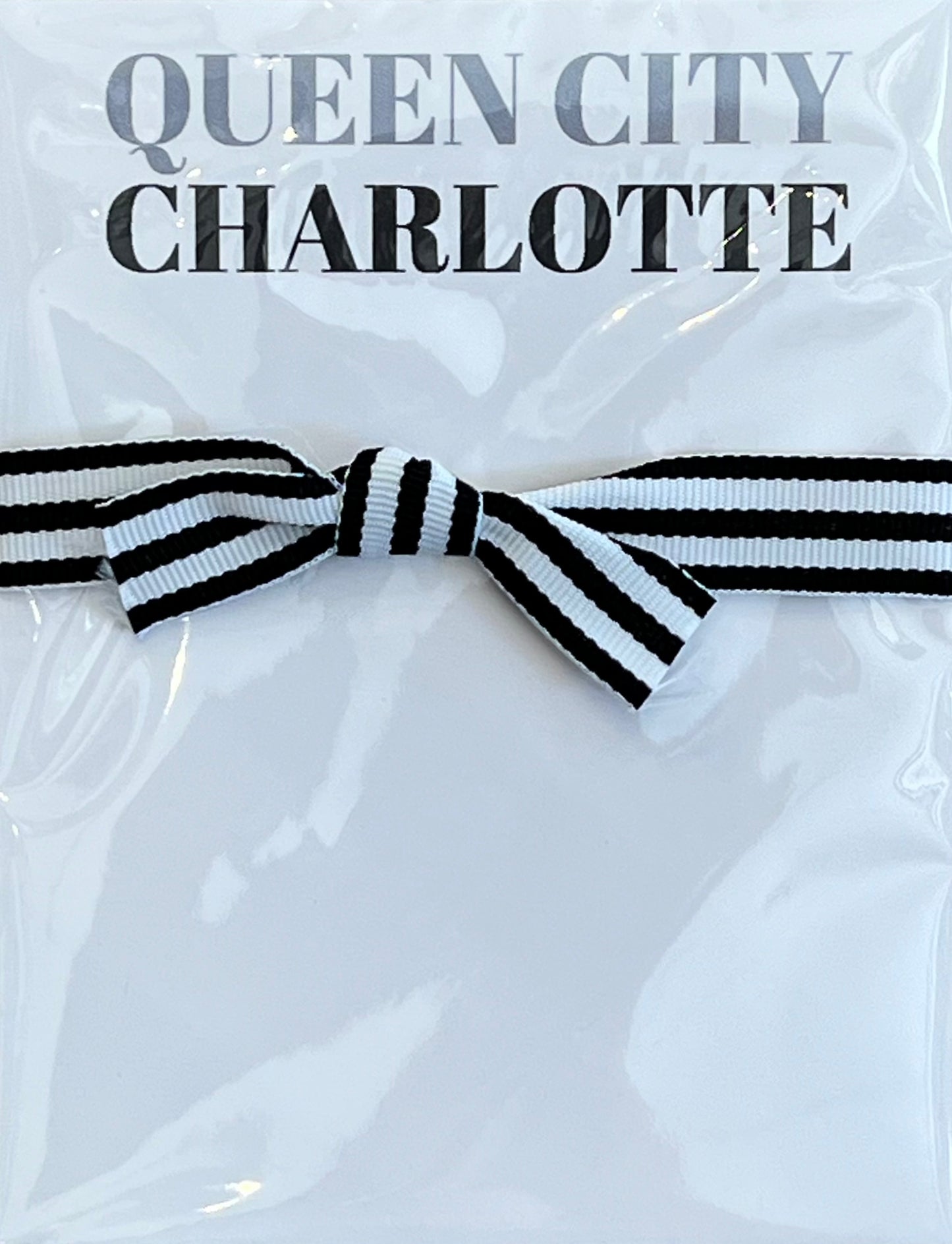 Queen City Charlotte Mini Notepad