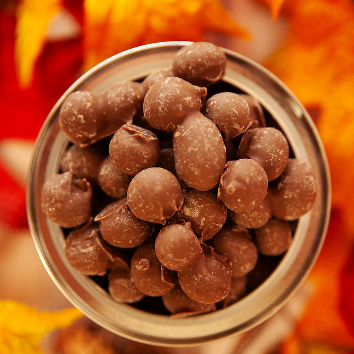 6.5oz Pouch | Double Dipped Milk Chocolate Peanuts
