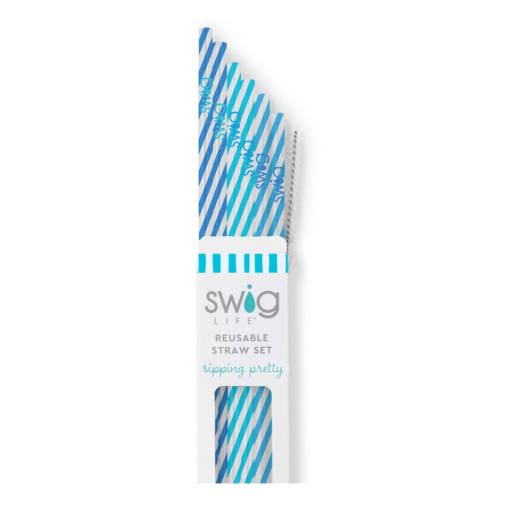 Reusable Straw Set | Glacier Stripe