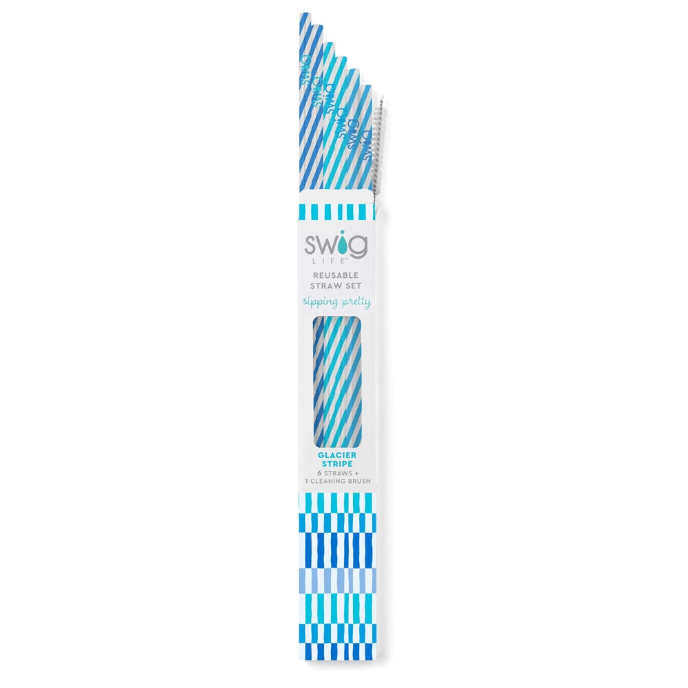 Reusable Straw Set | Glacier Stripe