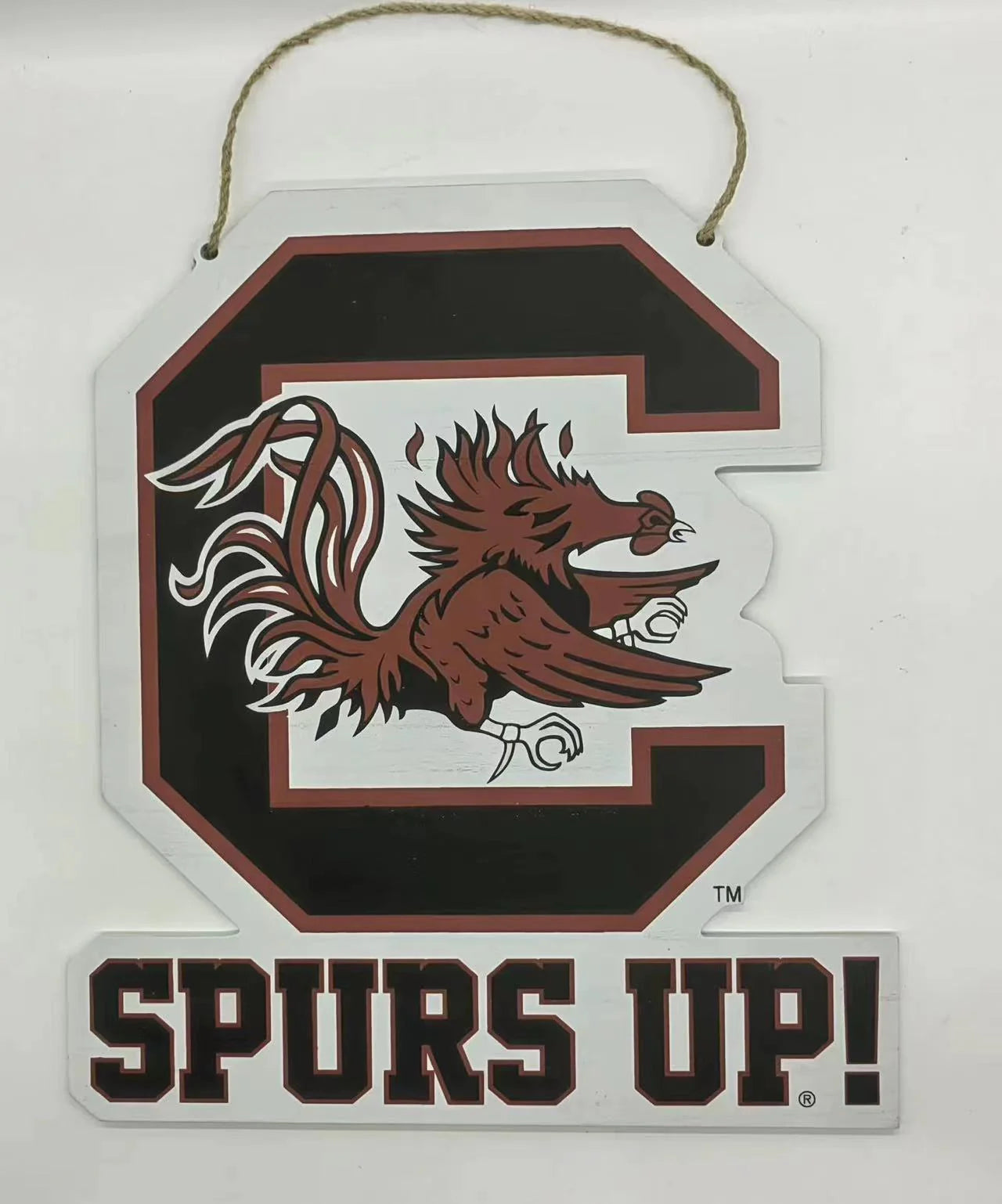 Wooden Door Hanger | South Carolina Logo