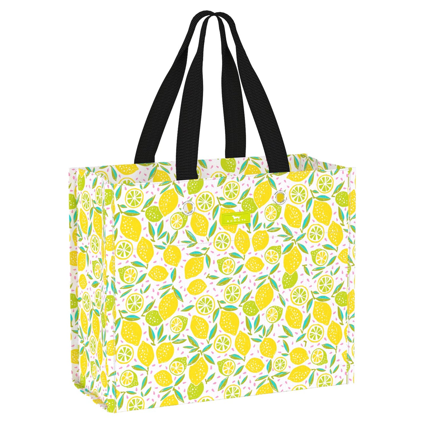 Large Package | Lemoncello