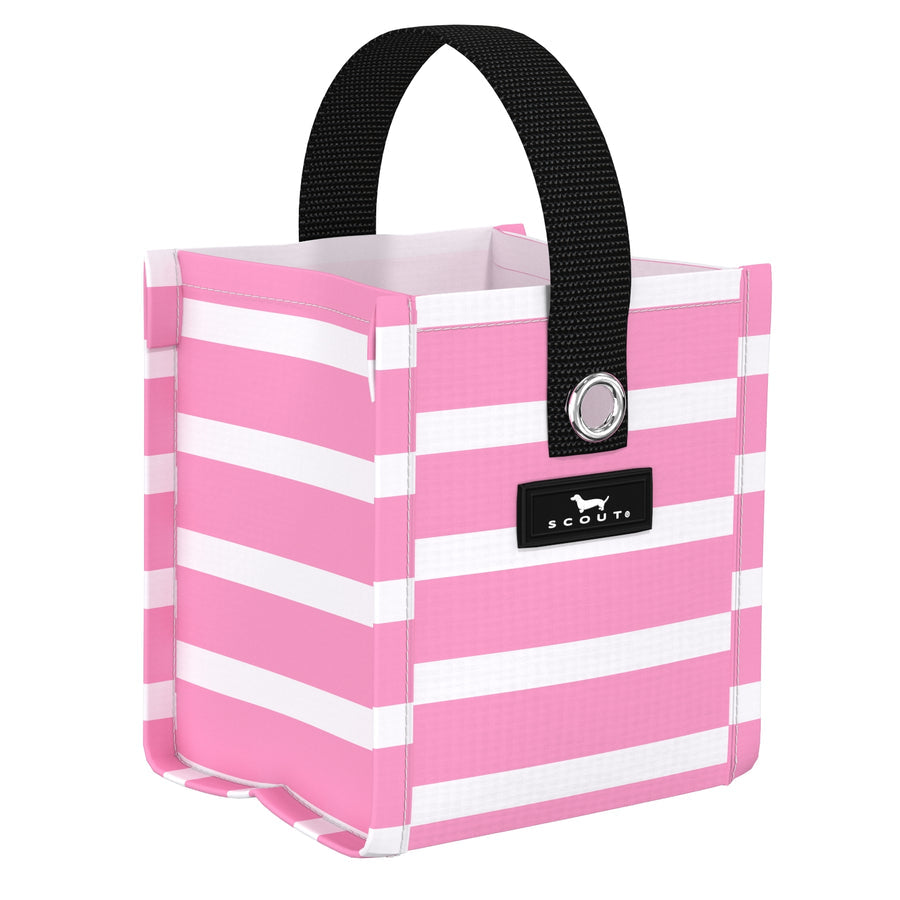 Mini Package | Palmetto Pink