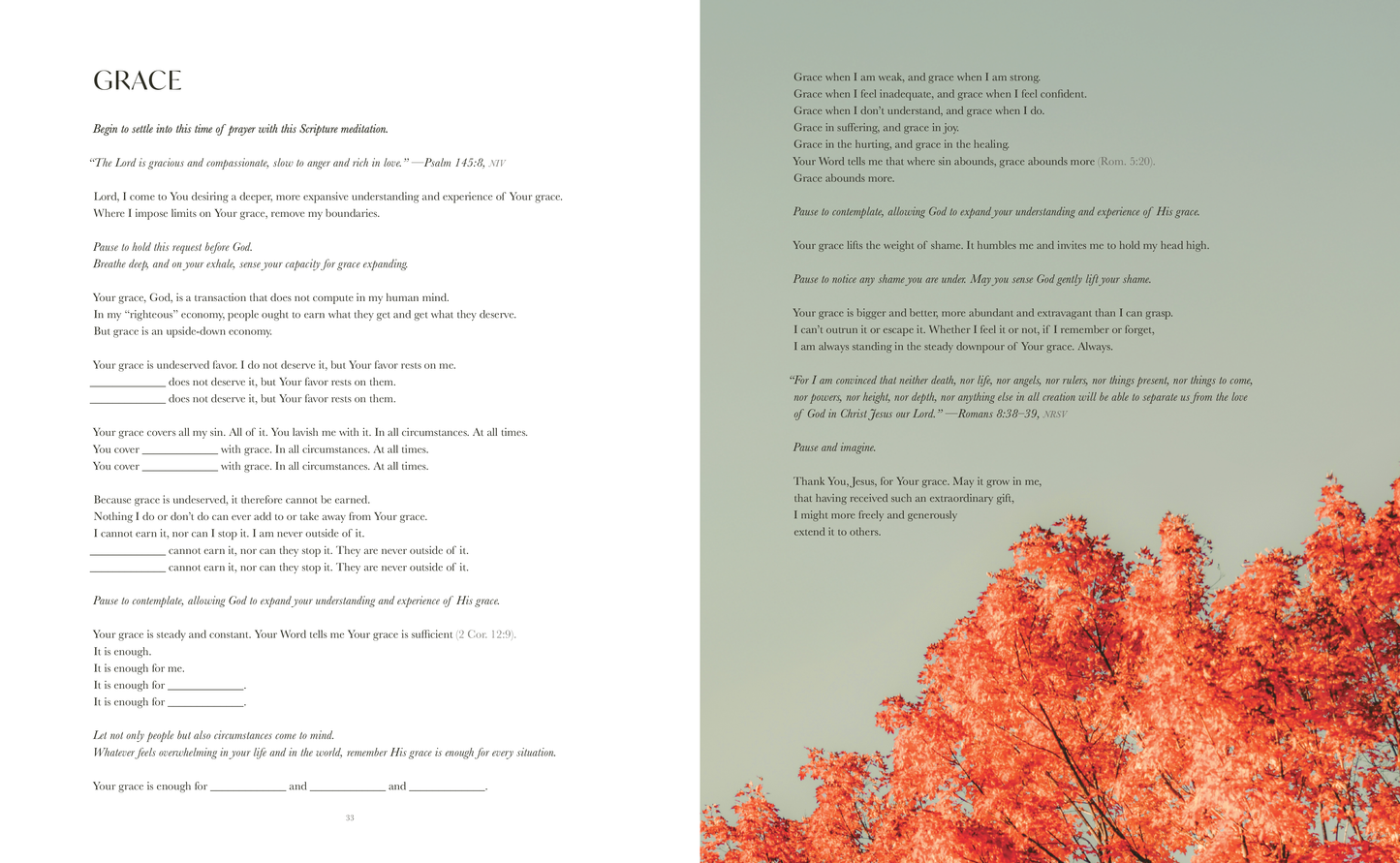 Pause: a year of guided prayer & reflection