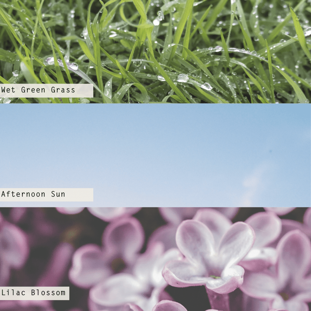 Sun Glass Candle | 20.5 oz | Summer Grass