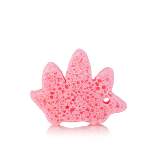 Spongify for Kids | Stegosaurus