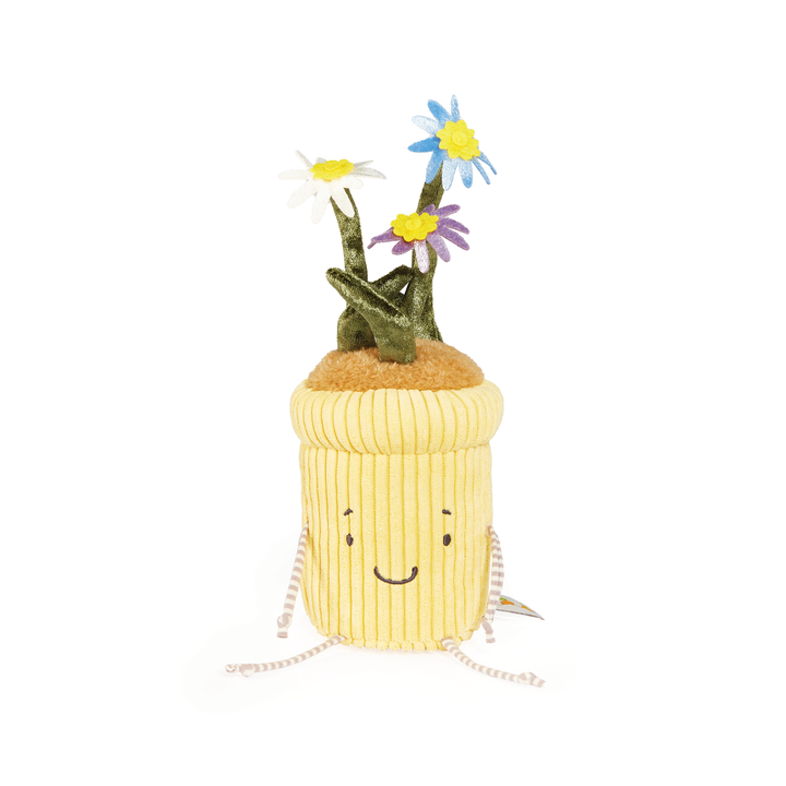 Window Silly - Gerbena Daisy