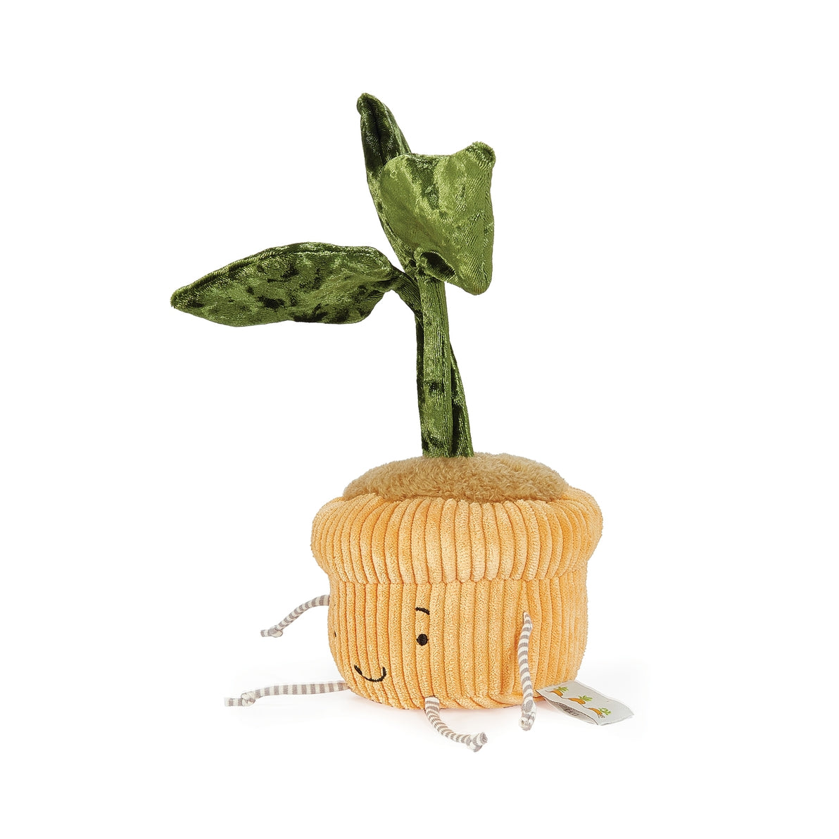 Window Silly - Monstera Plant
