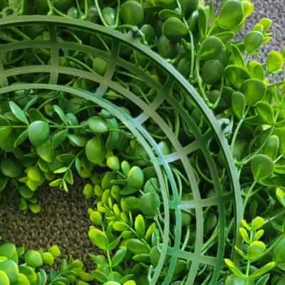Boxwood Wreath | Round | 22"