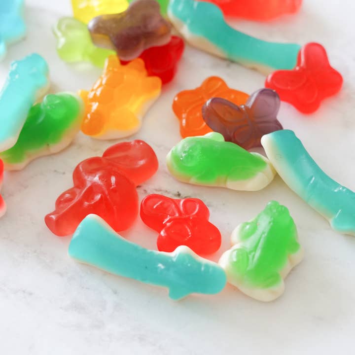 Gummy Candies | Colorful Animals