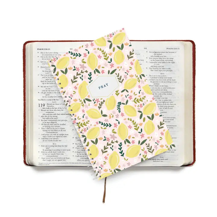 Yearly Prayer Journal | Pink Lemonade