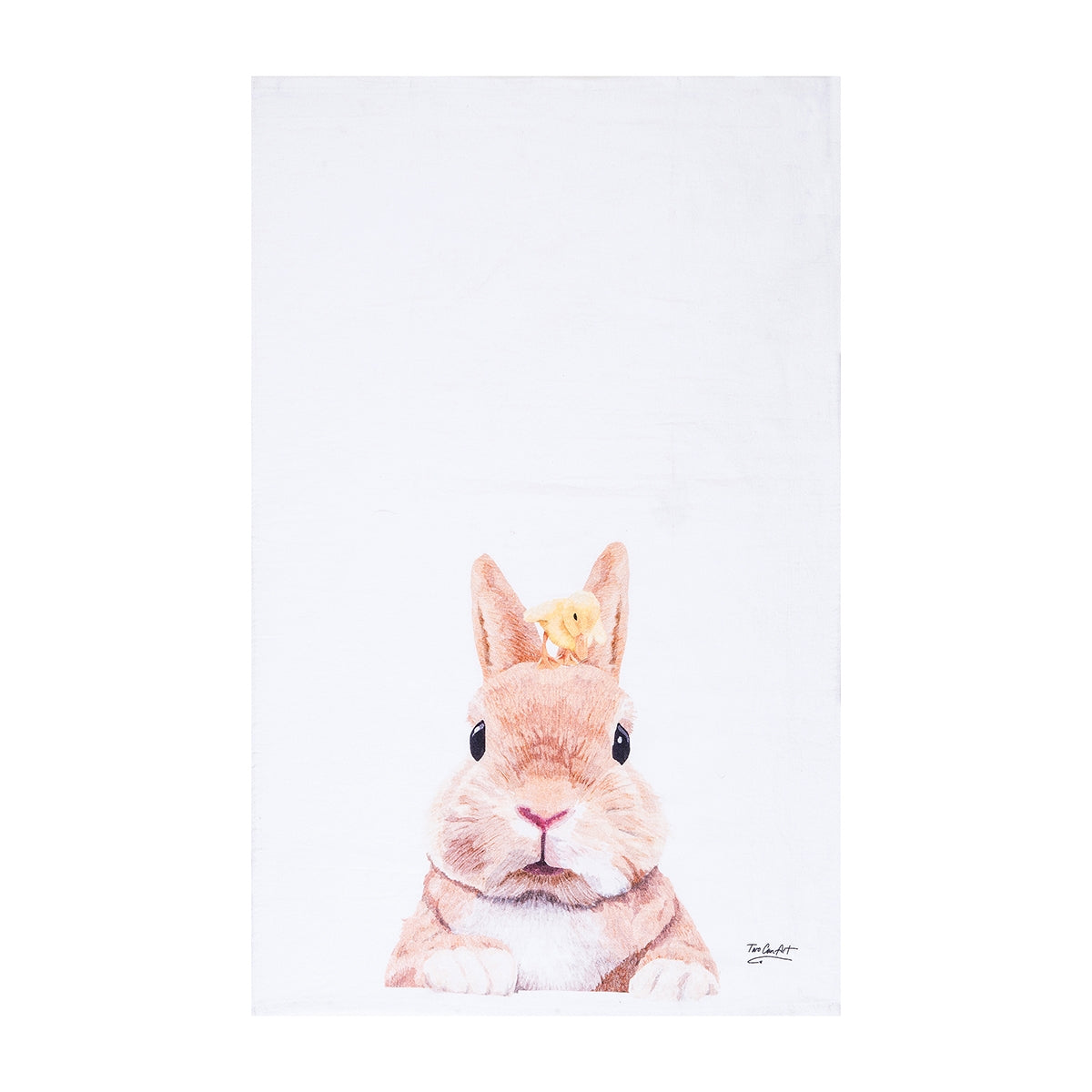 Bunny & Duckling Towel