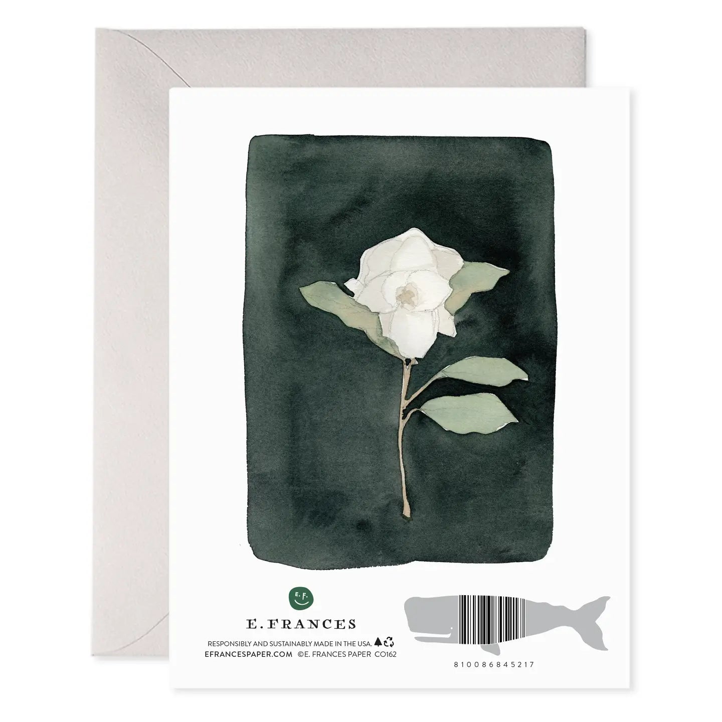 Greeting Card | White Flower Condolence