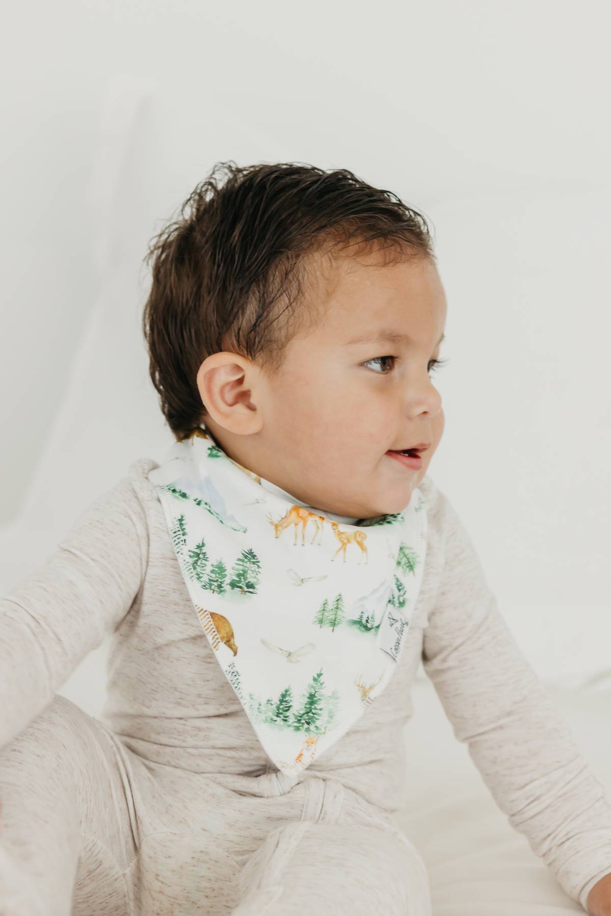Baby Bandana Bib Set | Grayson