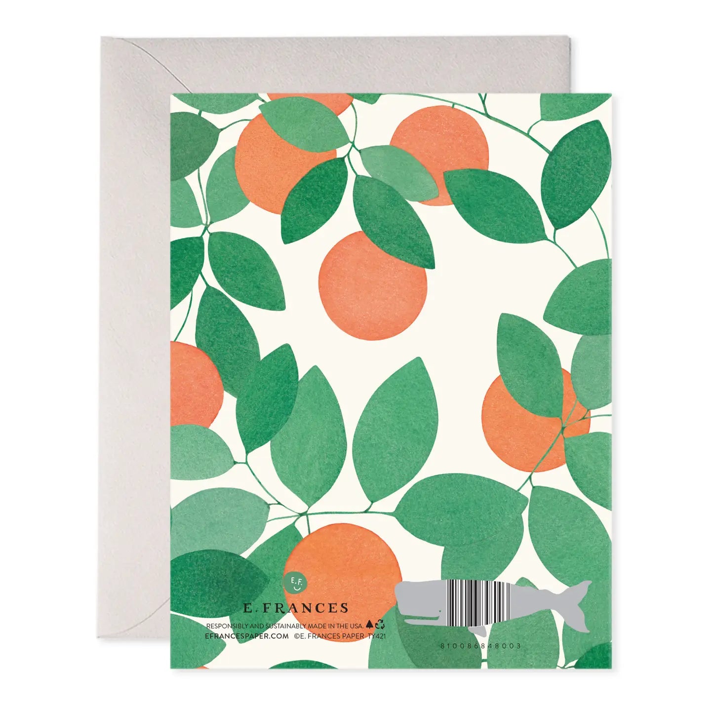 Greeting Card | Orange Grove Thank You