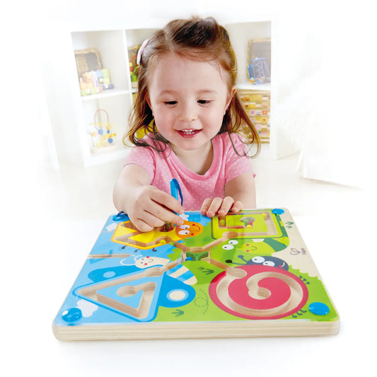 Best Bugs Magnetic Maze