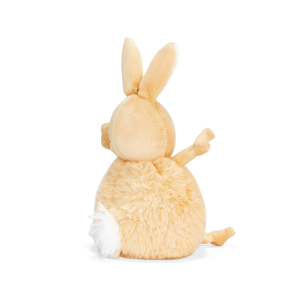 Roly Poly - Apricot Cream