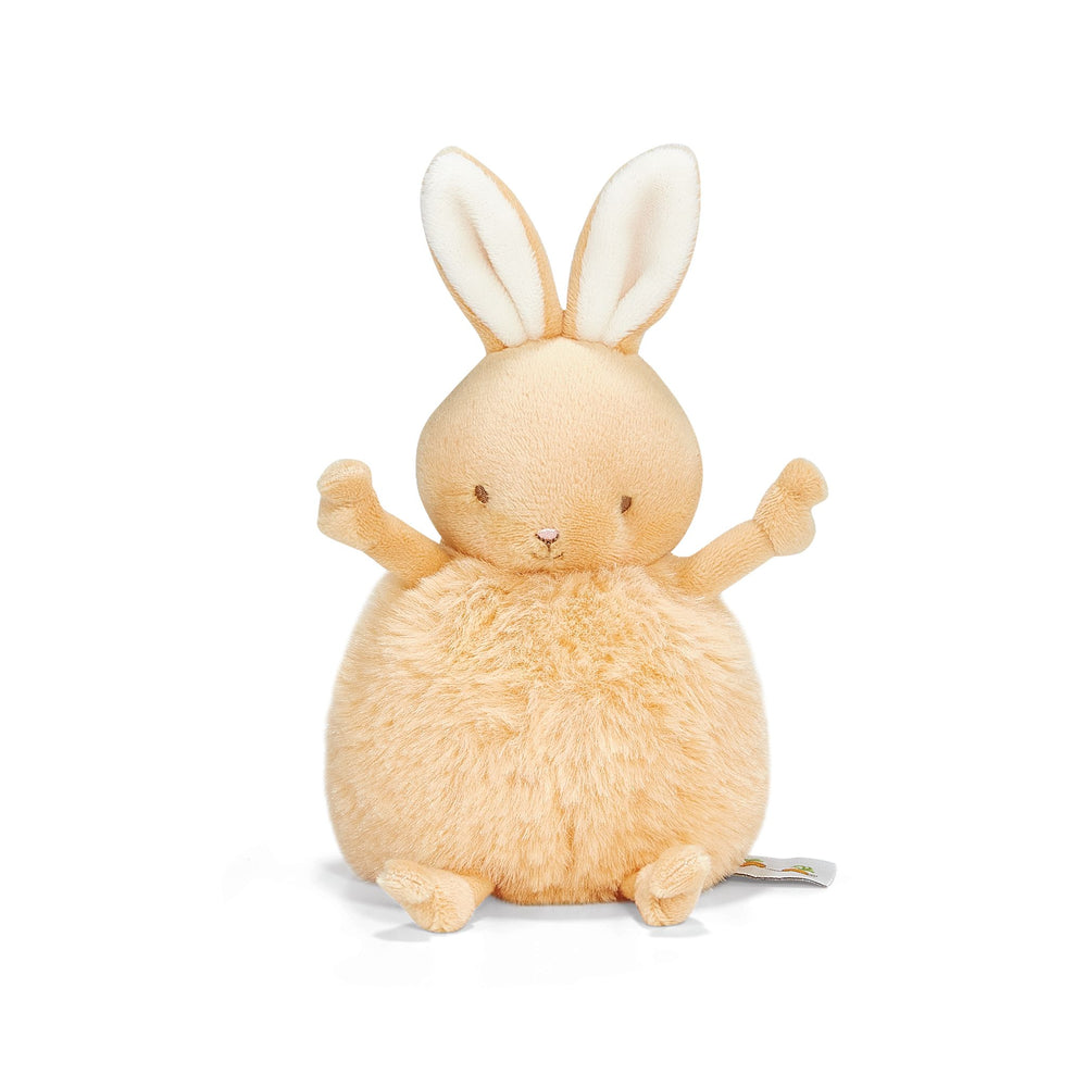 Roly Poly - Apricot Cream