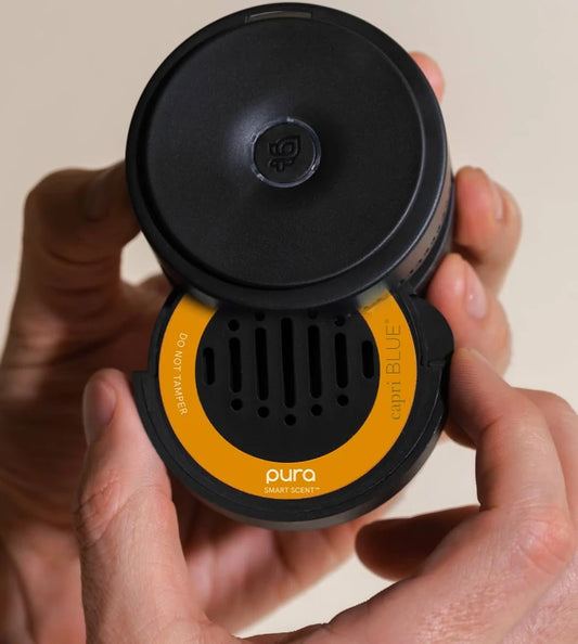 Pura Car Refill | Pumpkin Dulce