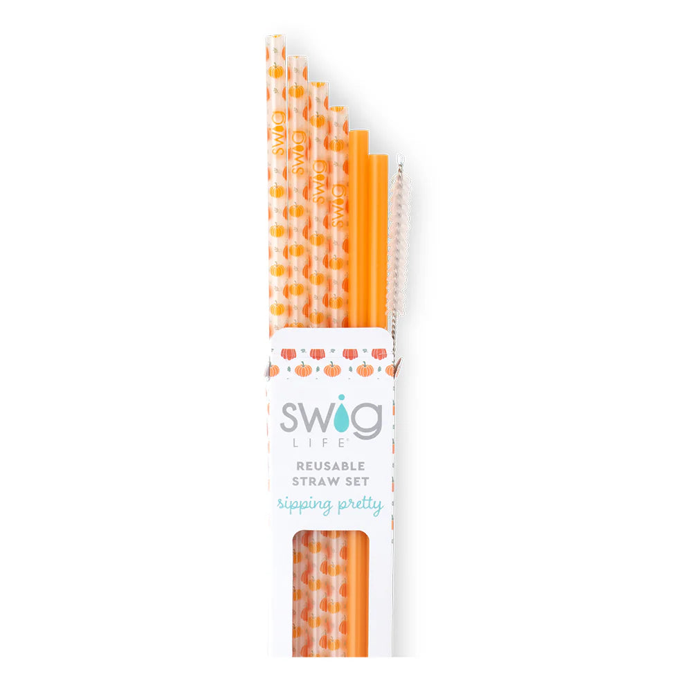 Reusable Straw Set | Pumpkins + Orange
