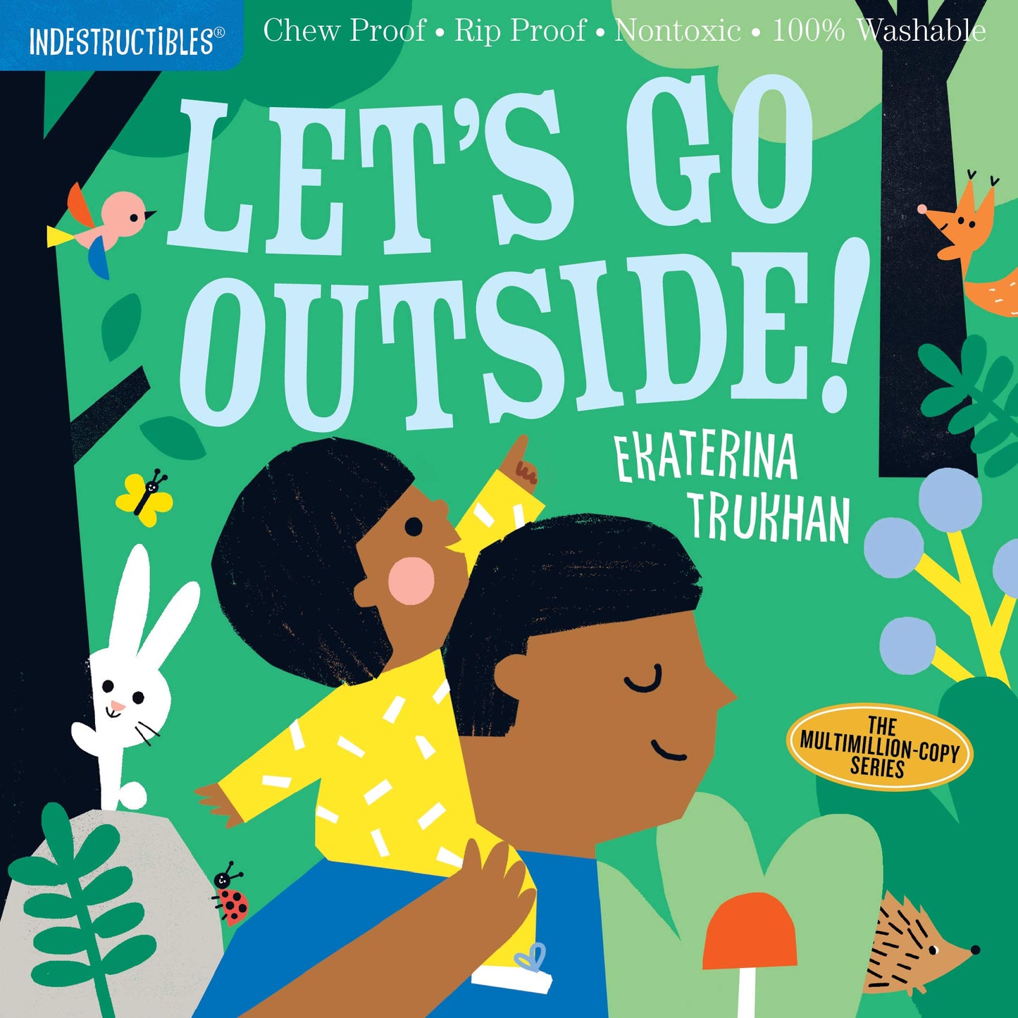 Let's Go Outside - Indestructible