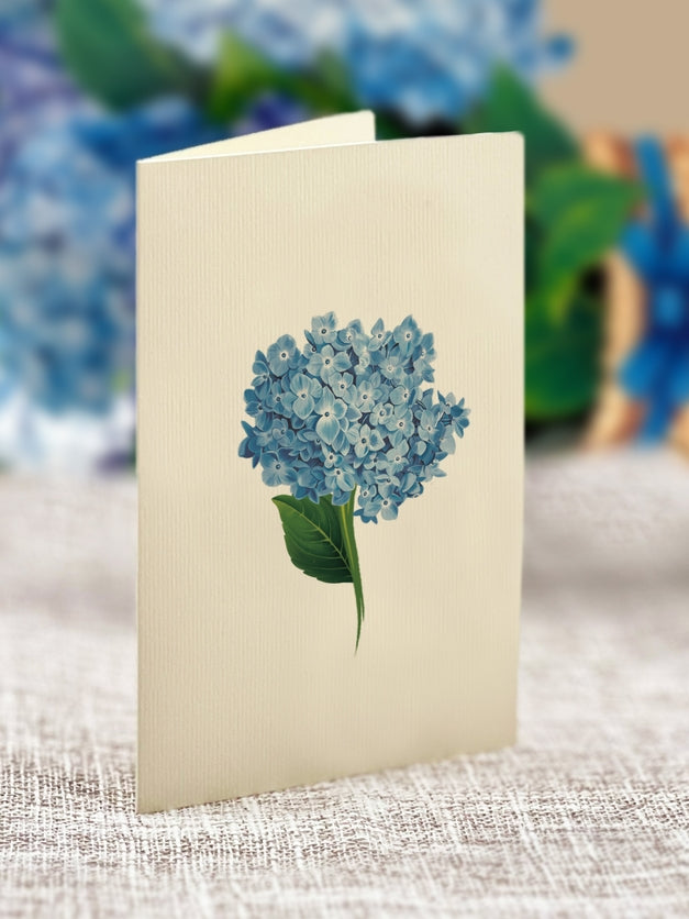 Mini Pop-Up Greeting Cards | Nantucket Hydrangeas
