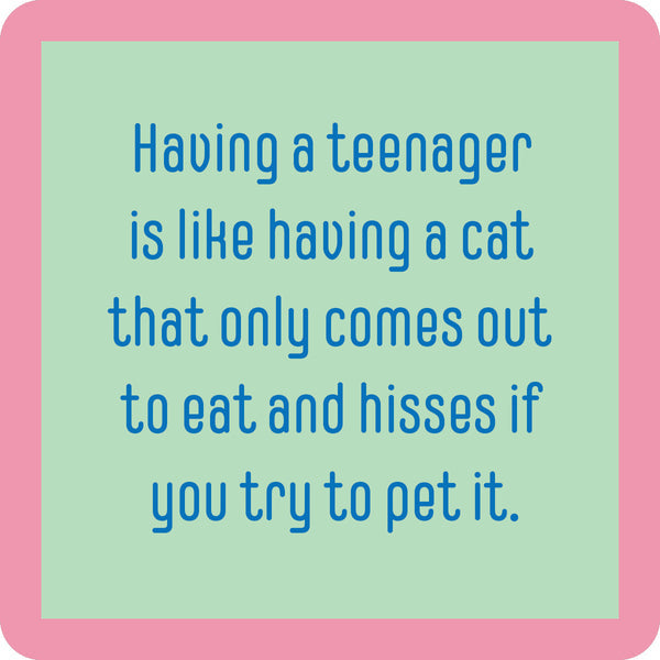 Teenager Cat Coaster