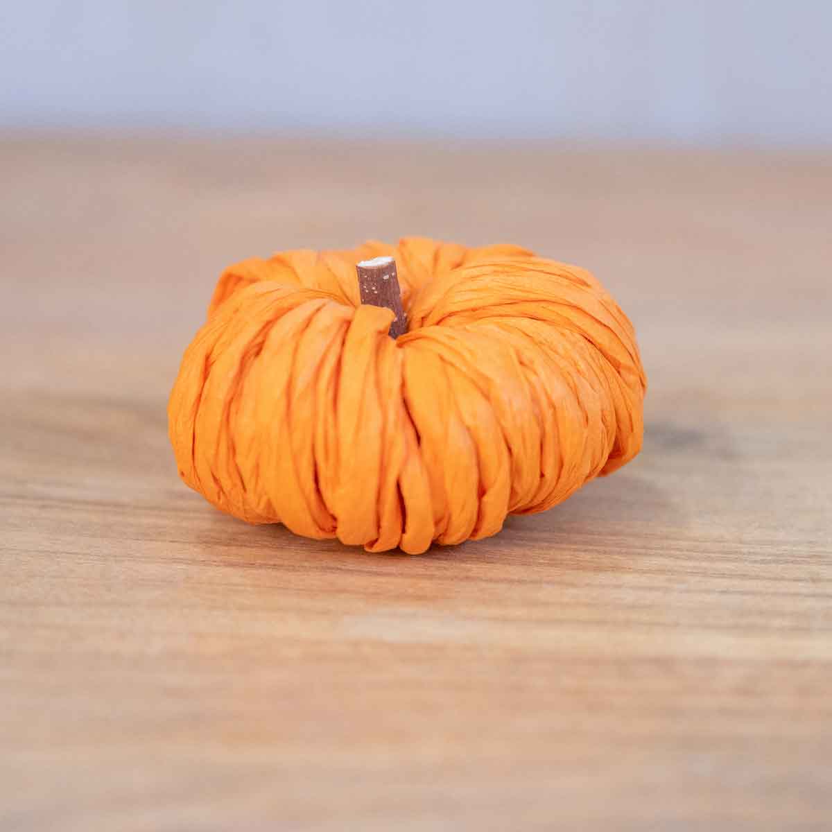 Petite Pumpkin | Orange