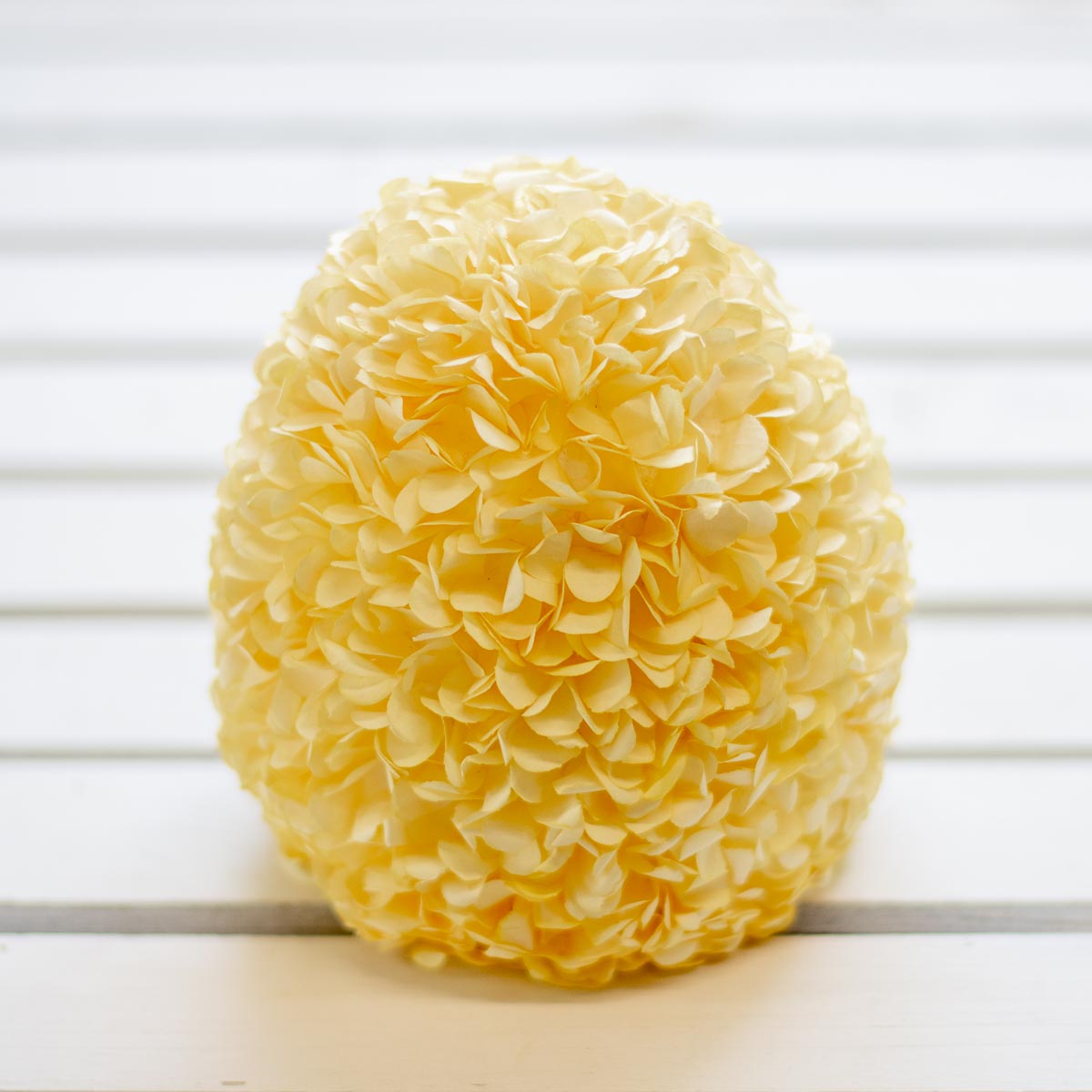 Hydrangea Egg Yellow 6.5"