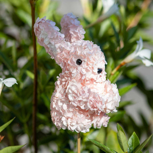 Hydrangea Bunny Pick Light Pink