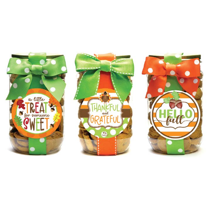 Pint Jar | Choc Chip | Fall